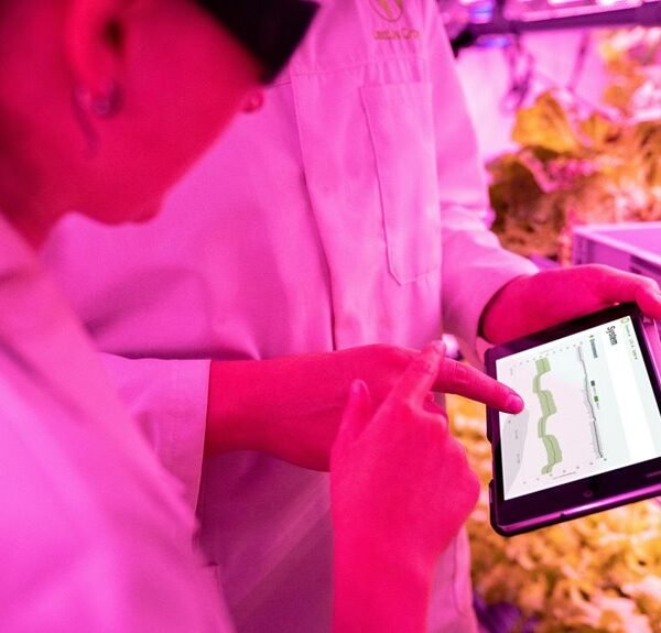 empower your digital growth