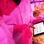 empower your digital growth